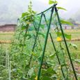 0.9x1.8 m (2.9x5.9 pieds) - Filet en treillis robuste pour plantes grimpantes, pour le jardin, pour la vigne,-3
