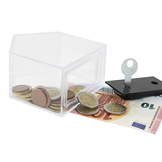 Hmf 477 Tirelire Boite A Donation Boite D Action Sous Forme D Une Maison Acrylique 11 X 10 X 6 Cm Cdiscount Maison