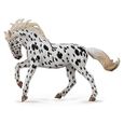 Collect A Horse Life Knabstrupper Black Leopard Mare Toy Figure-0