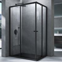 Mai & Mai® cabine de douche noir 120x100cm paroi de douche deux portes coulissantes verre trempé transparent RAV16K