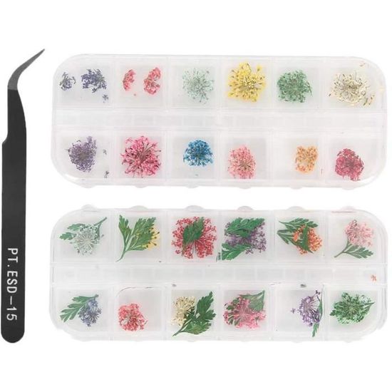 Papierdrachen Lot De 40 Confettis En Bois Pour Décoration De