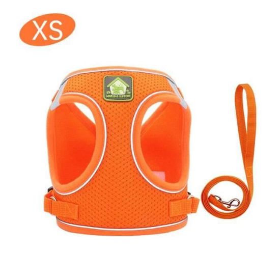 Harnais Réglable Pour Chat - Taille XS à L - Anti-évasion, Confortable - Pour Randonnée, Voyage, Balade - Avec Laisse - Réfléchissant - 9