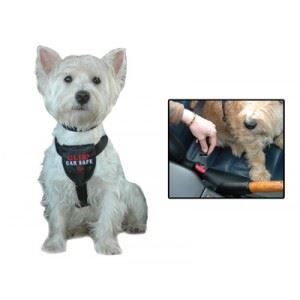 Vadigran Harnais Clix car safe (Taille: L