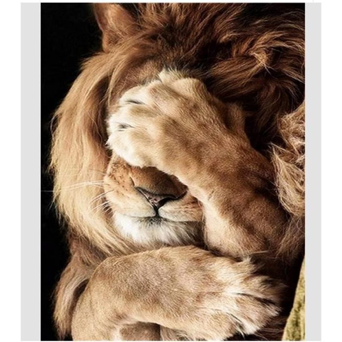Lounge Gek Of anders Puzzle 1000 Pièces Lion Timide Affiches Bois Jouets pour Adultes Jeu De Décompression Fx135Nj 75x50cm - Cdiscount Jeux - Jouets Lounge Gek Of anders Puzzle 1000 Pièces Lion Timide Affiches Bois Jouets pour Adultes Jeu De Décompression Fx135Nj 75x50cm - Cdiscount Jeux - Jouets