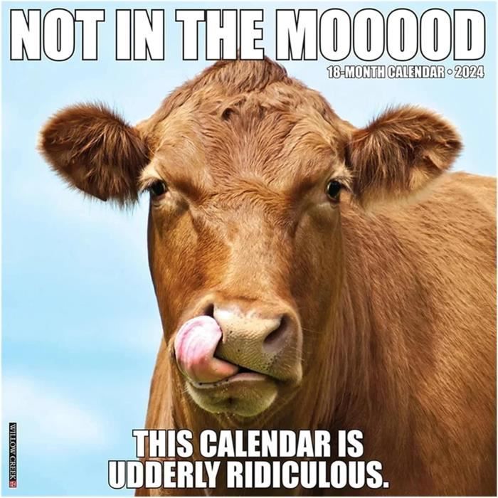 Calendrier Drôle 2024, Calendrier Mural Animal Inspiré De L'Humour De