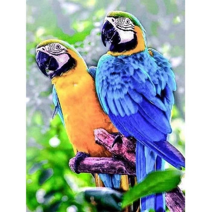 Kit Peinture Diamant 5D Chihuahua à Poil Long - 40x50 Cm - Toile + Strass + Outils - Loisir Créatif DIY