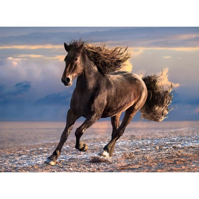 Puzzle 1000 Pieces Cheval Sauvage Aille Unique Coloris Unique Cdiscount Jeux Jouets Puzzle 1000 Pieces Cheval Sauvage Aille Unique Coloris Unique Cdiscount Jeux Jouets