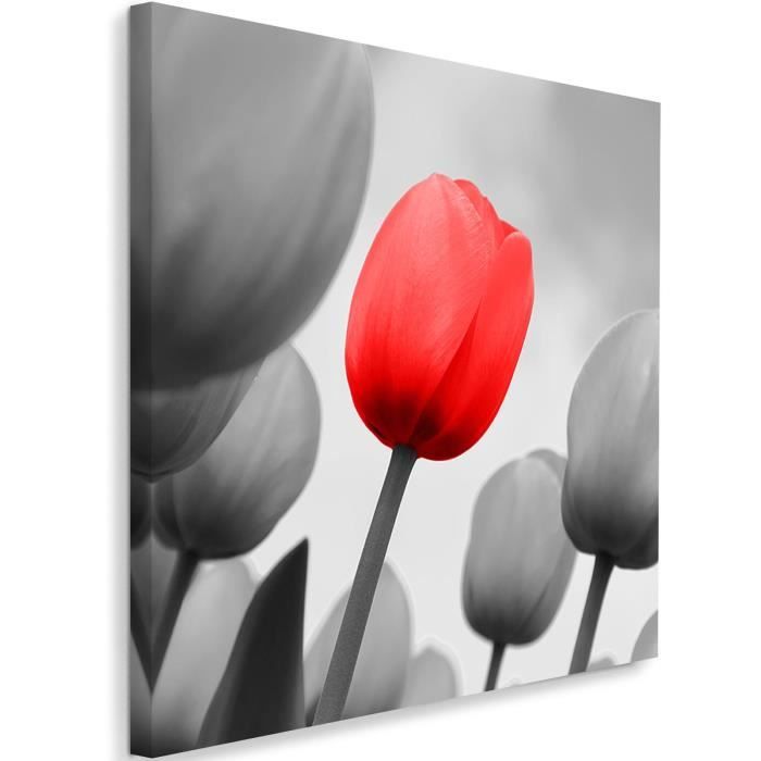 Image Imprimee Tableau Toile Cadre Canevas Tulipe Rouge Fond Gris 80x80 Cdiscount Maison