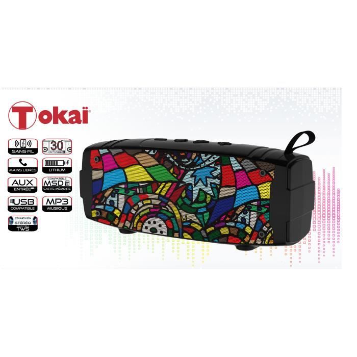 ENCEINTE PORTABLE SANS-FIL TWS ARTISTE AVEC RADIO FM- TOKAÏ