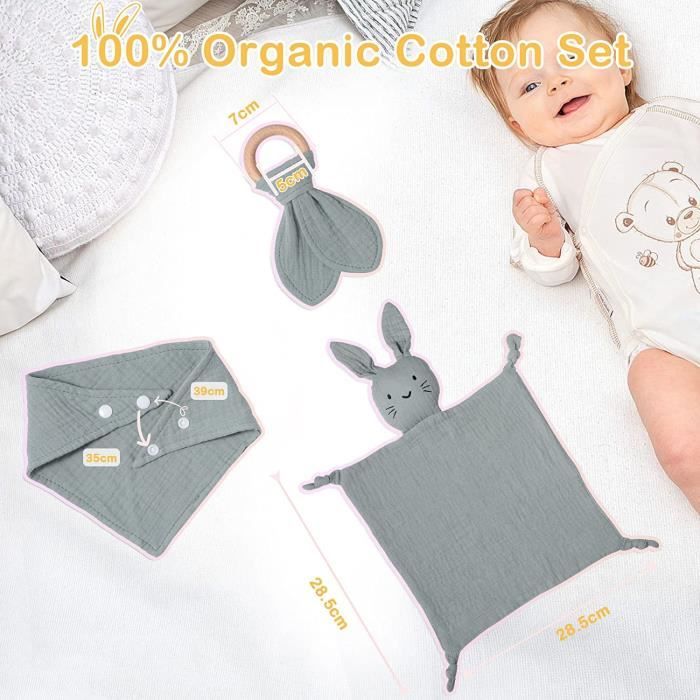 Lot de 3 Coffret Naissance Bébé de Fille et Garçon - 100% Coton Doux  Doudou, Bavoir et Anneau Cadeau Kit pour Nouveau-né(Menthe) - Cdiscount  Puériculture & Eveil bébé