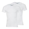 Lot de 2 tee-shirts col V homme Coton Bio Blanc-2