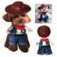 Vêtements Pour Chat Costume Chat Deguisement Chien Cowboy