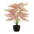 J-LINE Plante Artificielle en Pot "Caladium" 57cm Rose Clair