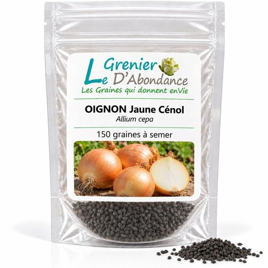 Graines De Navet Marteau – Sachet De 150 Graines – Légume Racine Facile à Cultiver