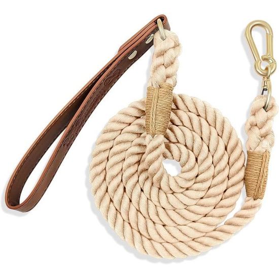 Laisse Lasso Pour Chien 1.7m - Anti-Traction - Nylon Résistant - Poignée Confortable - Pour Chiens Petits Et Moyens - 11