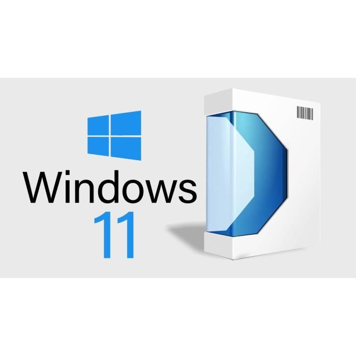 Microsoft Windows 11 Professionnel (Pro) - 64 bits - Clé licence à  télécharger