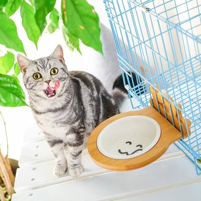 Bols En Ceramique Pour Chats Et Chiens Suspendus A L Exterieur Du Bol Chaton Pour Chiot Achat Vente Bol Cdiscount Bols En Ceramique Pour Chats Et Chiens Suspendus A L Exterieur Du Bol Chaton Pour Chiot Achat Vente Bol Cdiscount