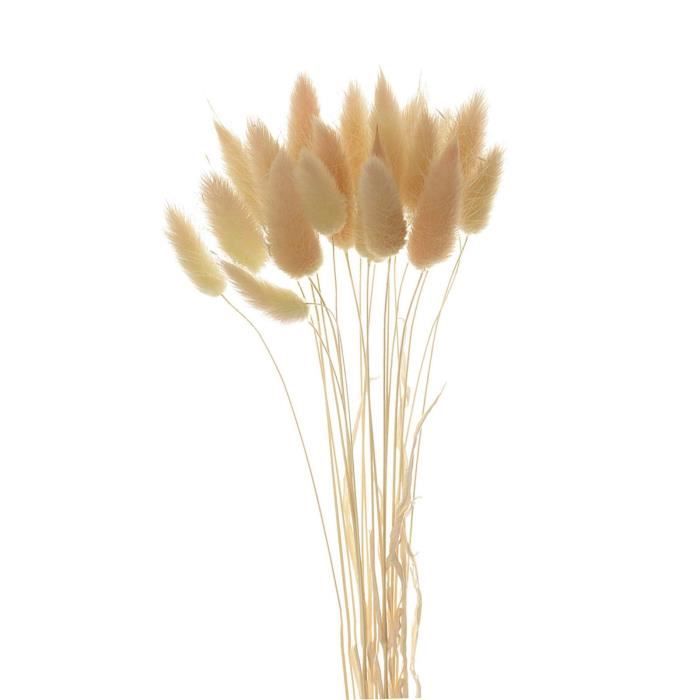 Bouquets de Fleurs Séchées Naturelles Lapin Queue Herbe Bricolage Tiges Décor beige Cdiscount