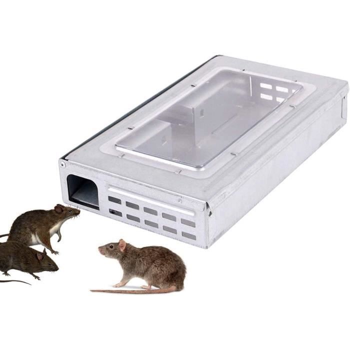 Kit De Mangeoire à Graisse Pour Oiseaux – Piège à Souris Et Rat Humain CO2 – Acier Inox
