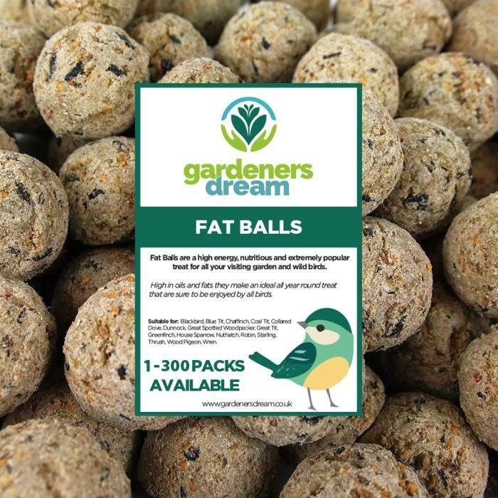 Boules de graisse Friandises énergétiques pour oiseaux sauvages