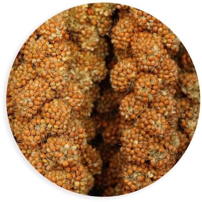 Millet Roux En Grappes - TYROL - Oiseaux - 200 g