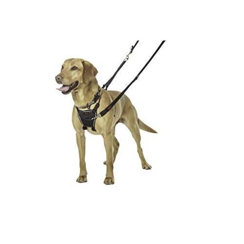 Harnais pour chien - HALTI - No Pull Harness - Taille Moyen - Couleur Noir - Utilisation Extérieure Harnais pour chien - HALTI - No Pull Harness - Taille Moyen - Couleur Noir - Utilisation Extérieure