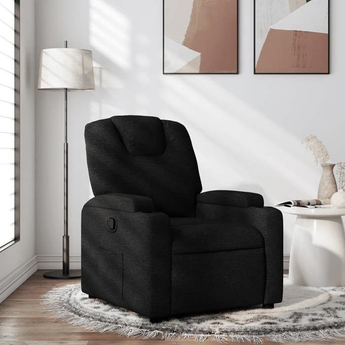 vidaXL Fauteuil Inclinable Chaise de Relaxation avec Dossier Siège avec Accoudoirs Rembourrés Salle de Séjour Moderne 372367