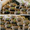 Pots Biodégradables, Lot de 100 Pots de semis en Fibre biodégradable de 8 cm avec 100 étiquettes de Plantes, Godets Semis Plantes-2