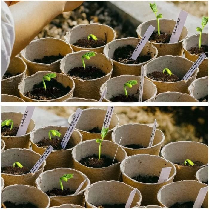 Jardinage écologique Semis 100 Pots Culture Biodégradables 8cm ZQEJEFD - Fibre Naturelle Semis Plantes Légumes Accessoires Jardinage Semis