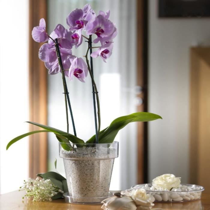 Pot Pour Orchidée En Plastique Transparent, Avec Soucoupe Incluse. Avec Un  Étage Intérieur Et Une Base Perforable (5, 16 Cm)[H5717]