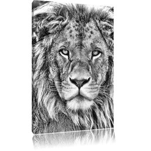 /énorme XXL Photos compl/ètement encadr/ée avec civi/ère belle abstraite Leo noir // blanc Taille: 60x40 sur toile art impression sur murale avec cadre moins cher que la peinture ou la peinture /à lhuile aucune affiche ou