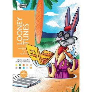 LIVRE LOISIRS CRÉATIFS Coloriages Mystères - Looney Tunes