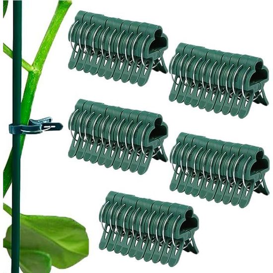 50 pour Attacher Les PlantesWOVTE Aide à l'escalade des Plantes grimpantes sur tuteur ou Piquet 50 pour Attacher Les PlantesWOVTE Aide à l'escalade des Plantes grimpantes sur tuteur ou Piquet