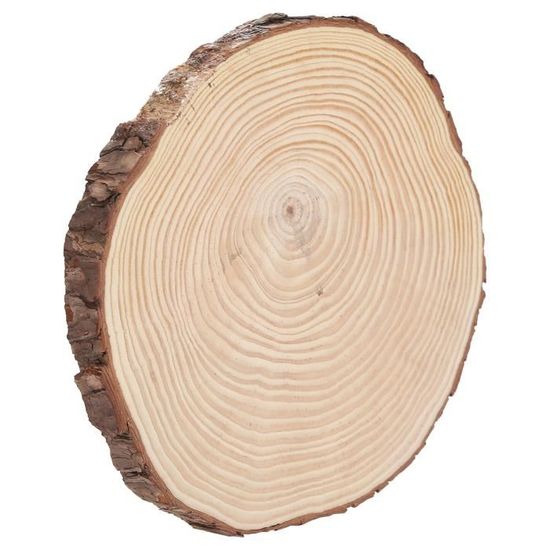 8 Grandes Tranches De Bois Naturel Non Finies - Diamètre 23-25 Cm, épaisseur 2 Cm, Pour Déco Et DIY