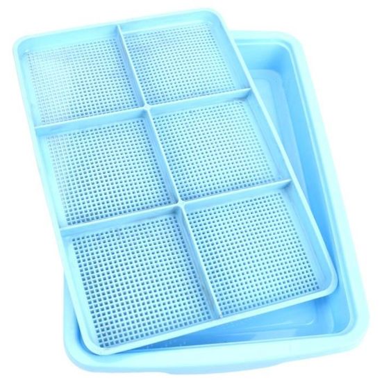 Plateau De Germination Sans BPA - Pour Faire Pousser Graines, Herbes, Germes De Blé - Idéal Cuisine Saine Et Jardinage D'intérieur