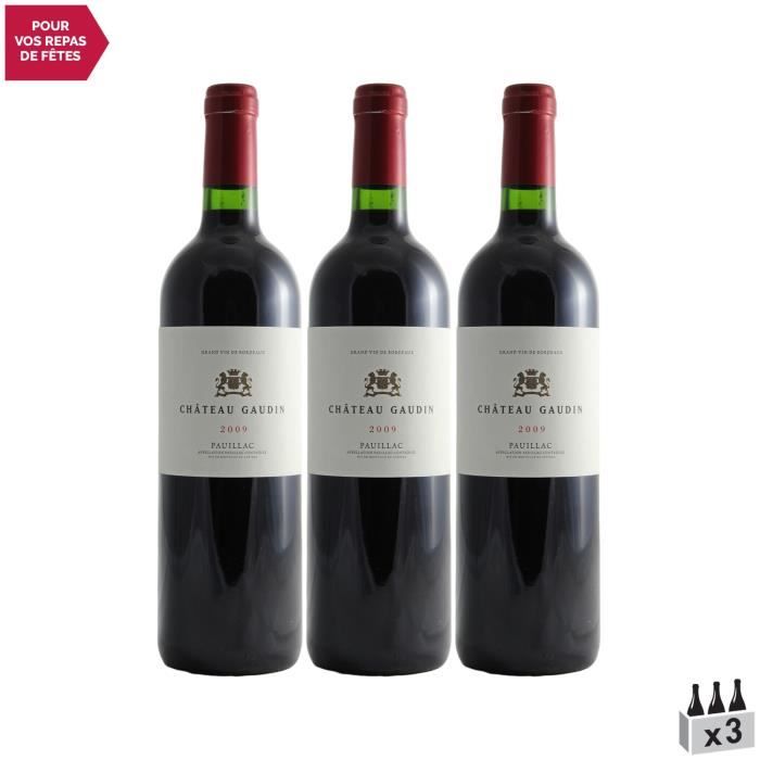 Château Gaudin Rouge 2009 - Lot de 3x75cl - Vin Rouge de Bordeaux - Appellation AOC Pauillac - Cépages Cabernet Sauvignon, Merlot