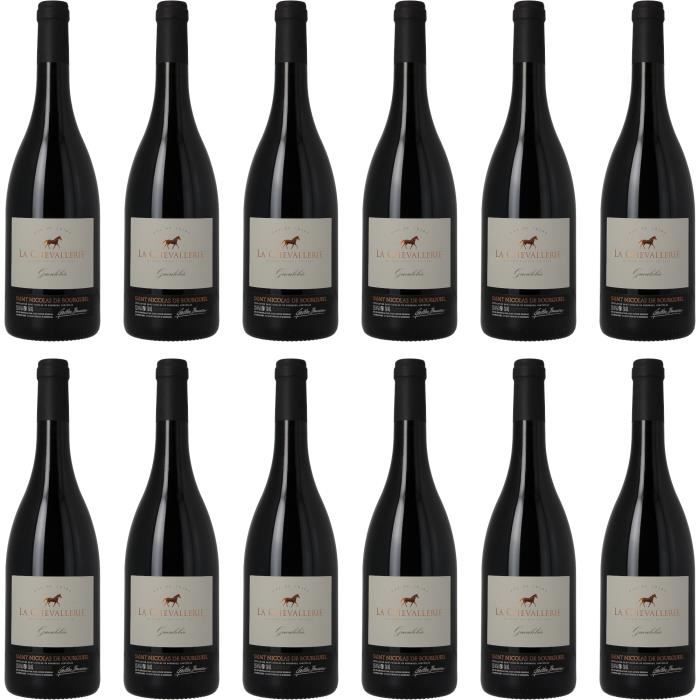 Saint Nicolas de Bourgueil - Gueulebée - Vin rouge AOP du Val de Loire - 100% cabernet franc - Lot de 12 bouteilles