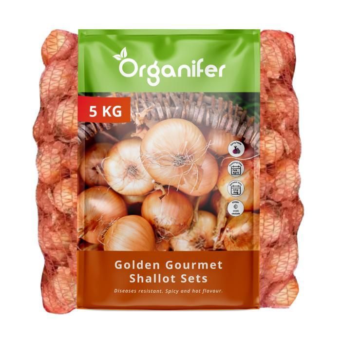 Bulbe A Planter - Oignon A Planter - Organifer - Plantes DÉchalotes Golden Gourmet 14/21 - 5 Kg