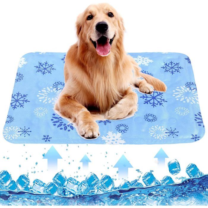 Tapis Rafraîchissant Chien Chat Auto-Refroidissant Tapis Frais pour Animaux 30x40 cm pour Cage Lit et Chenil