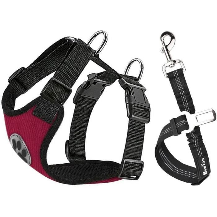 Ensemble Harnais Et Laisse Pour Chien - Harnais Réglable Et
