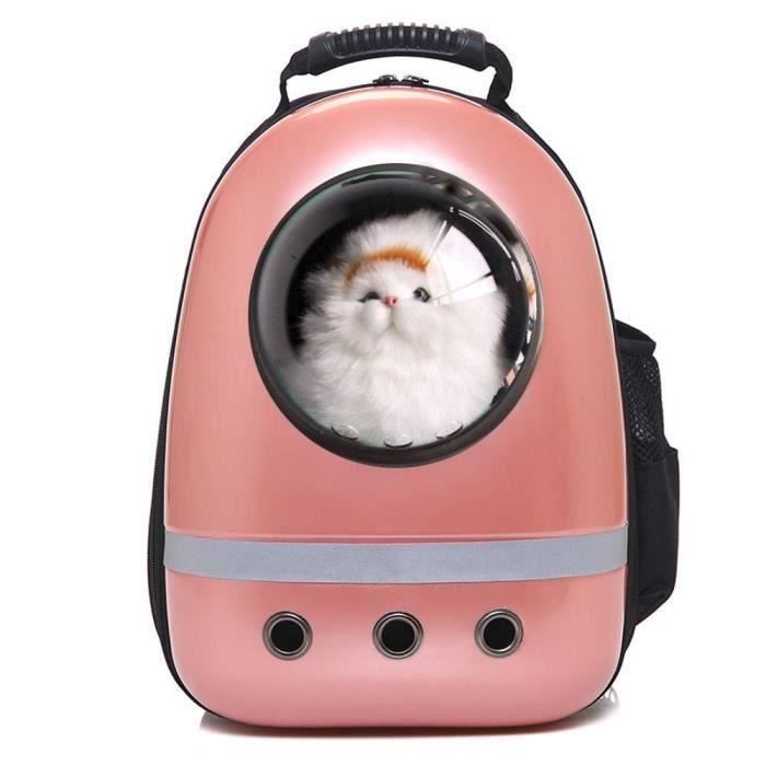 dure Morgue la construction navale sac a dos bulle chat Traitement