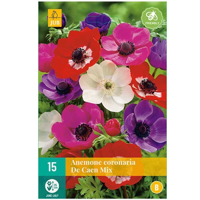 Anemones coronaria de Caen - Fleurs - Mix - Rose, Rouge, Blanche ou Violette - Non comestible