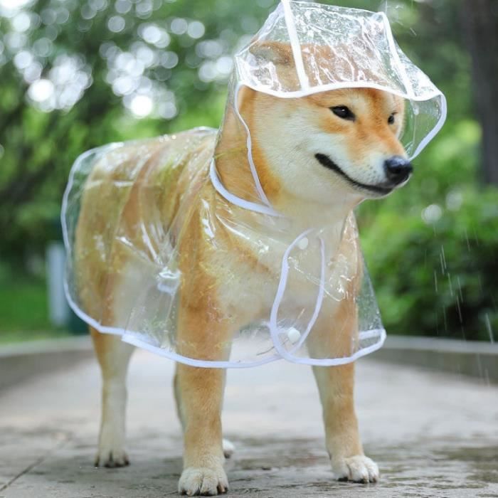 Manteau Bouledogue fran ais imperm able Transparent chien