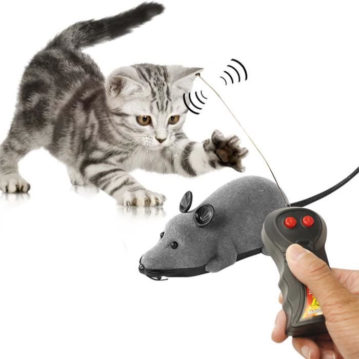 Meilleurs prix pour Souris en plastique fil télécommandée jouet chat jouets