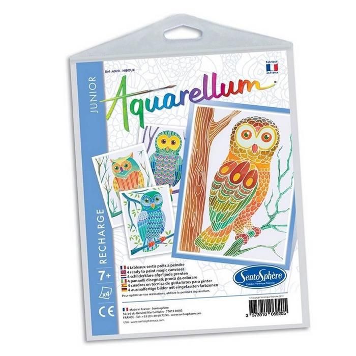Aquarellum Junior - Kit Peinture Magique Enfants Dès 6 Ans - Activité Créative Fabriquée En France