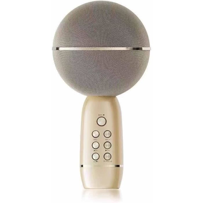 Micro Karaoké Sans Fil Bluetooth 5-en-1 - Haut-parleur Portable RGB - Stage SingFree