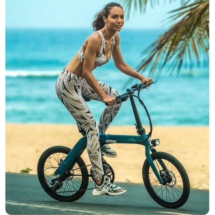 FIIDO D11 Velo electrique pliable en alliage d aluminium de qualite superieure avec un poids leger 17 5 kg 30 km h 36 V 11 6 Ah 250 Cdiscount Sport