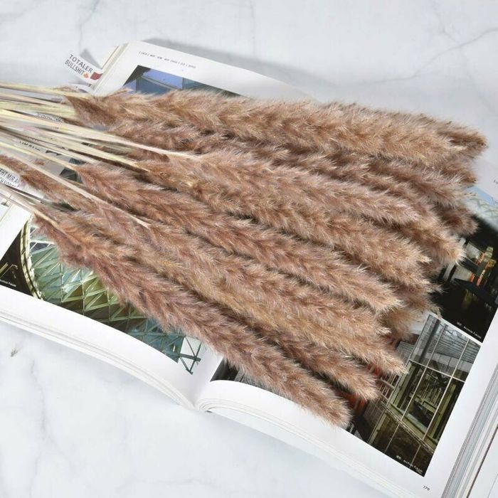 Lot de 30 herbes de pampa sches naturelles fleurs sches pour dcoration ...