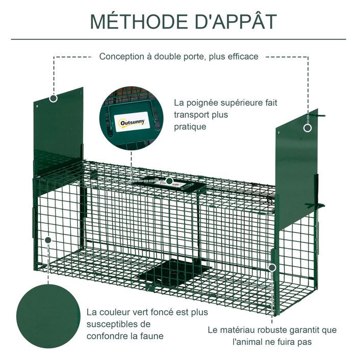 Pige Rat Jardilandnull