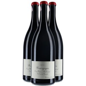VIN ROUGE Bourgogne Pinot Noir En Carran La Croix de Bernard